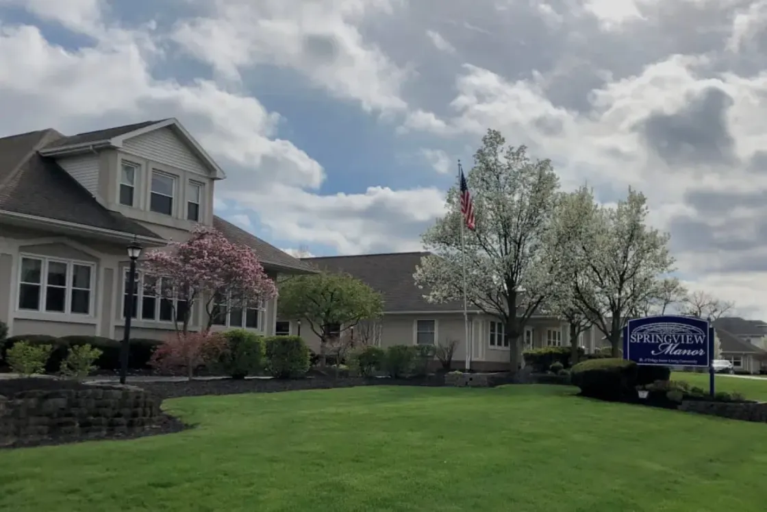 Springview Manor