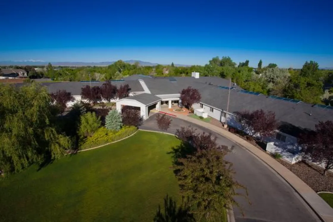 Apple Tree in Kaysville