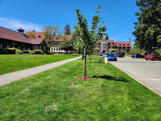 Cristwood Park and The Courtyard