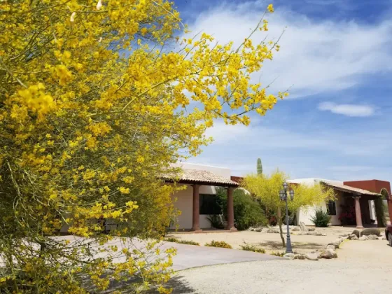 Saguaro Ranch Luxury Assisted Living