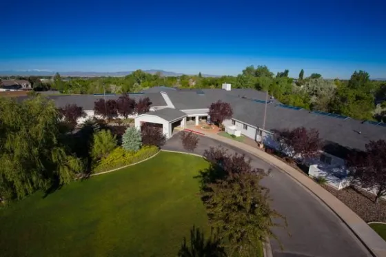 Apple Tree in Kaysville