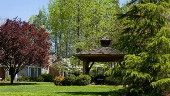 The Pines at Davidson