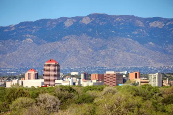 FIESTA PARK WELLNESS AND REHABILITATION