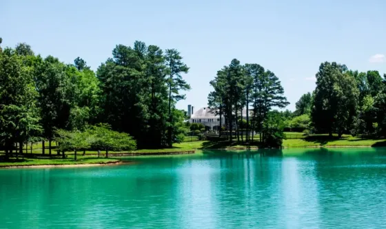 The Lakes of Paducah